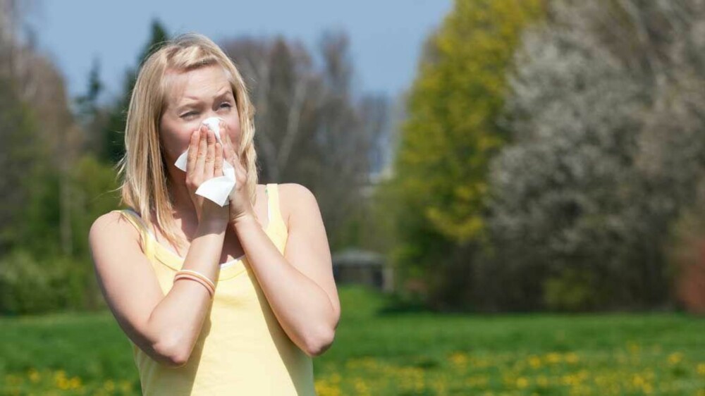 Er du en av mange nordmenn som plages av allergi nå?
