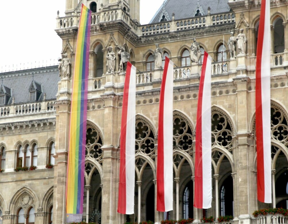 HOMOFLAGG: Pride-flagget i regnbuens farger henger godt synlig på katedralen rett ovenfor Eurovision-landsbyen i Wien.
