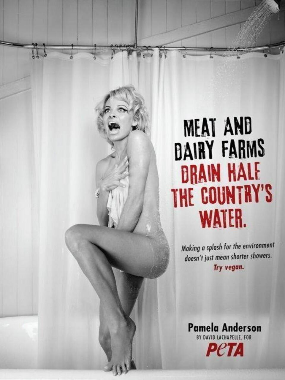 OPPFORDRER FOLK TIL Å SPISE MER VEGETARMAT: Pamela Anderson for PETA.