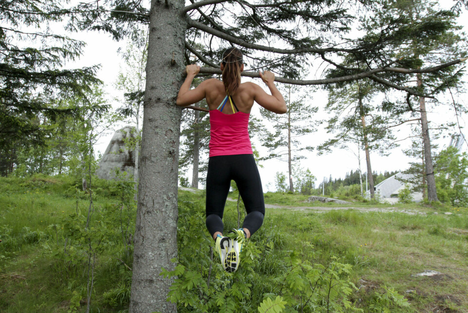 PULLUPS I ET TRE: Finn et tre med en passe solid grein som ikke er alt for høyt. Så er det bare å gjøre pullups på vanlig måte.