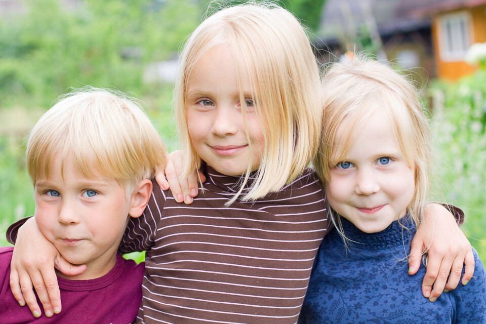 ELDSTEMANN har høyere IQ, viser studier, men det er ubetydelige forskjeller.