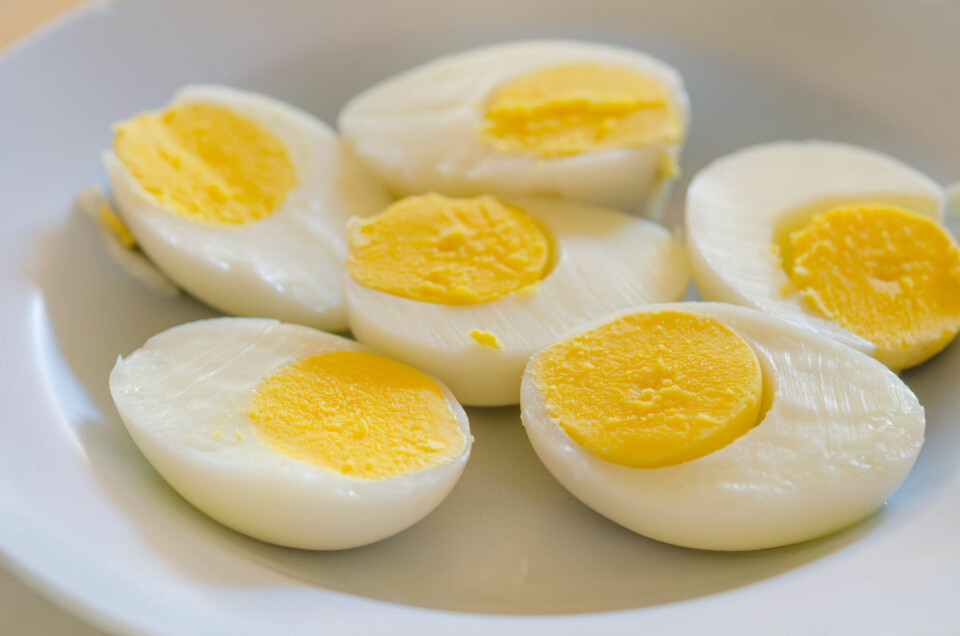 EGG DAGEN LANG: Kan det bli for mye av de gode?
