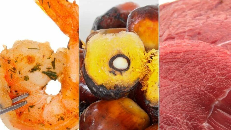 GOD MILJØSAMVITTIGHET PÅ HANDLETUR: Kutt ned på kjøttforbruket, velg scampi med sertifiseringordning og sjekk palmeoljeguiden for å droppe mat som inneholder palmeolje.