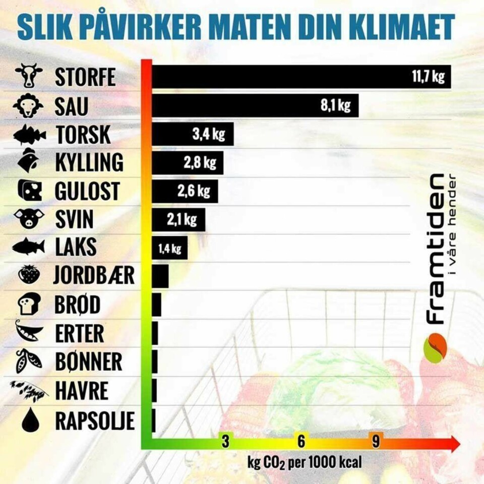 Her er mat-verstingene