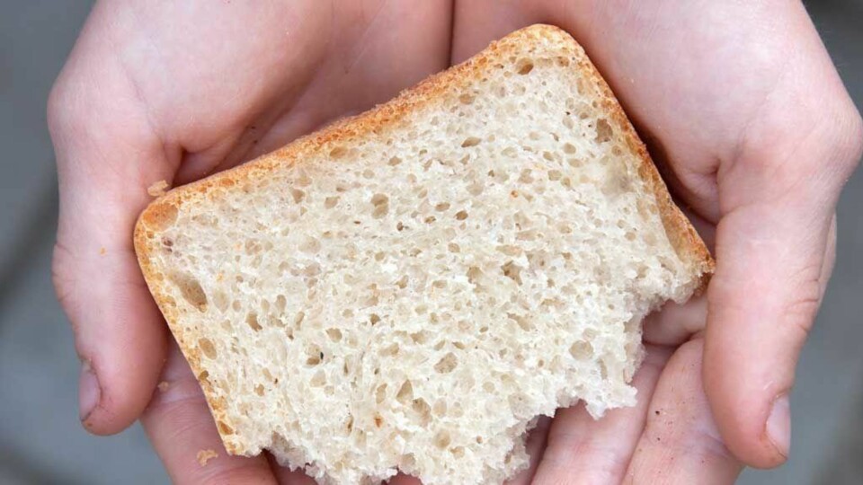 Gluten fins i brød bakt med hvete, rug, bygg og spelt.