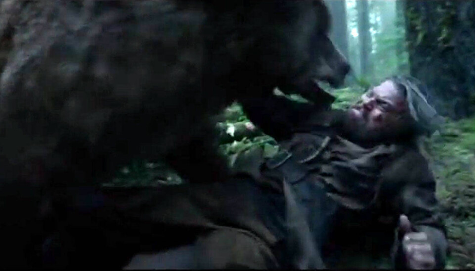 The Revenant: - Leonardo ble voldtatt to ganger av en bjørn