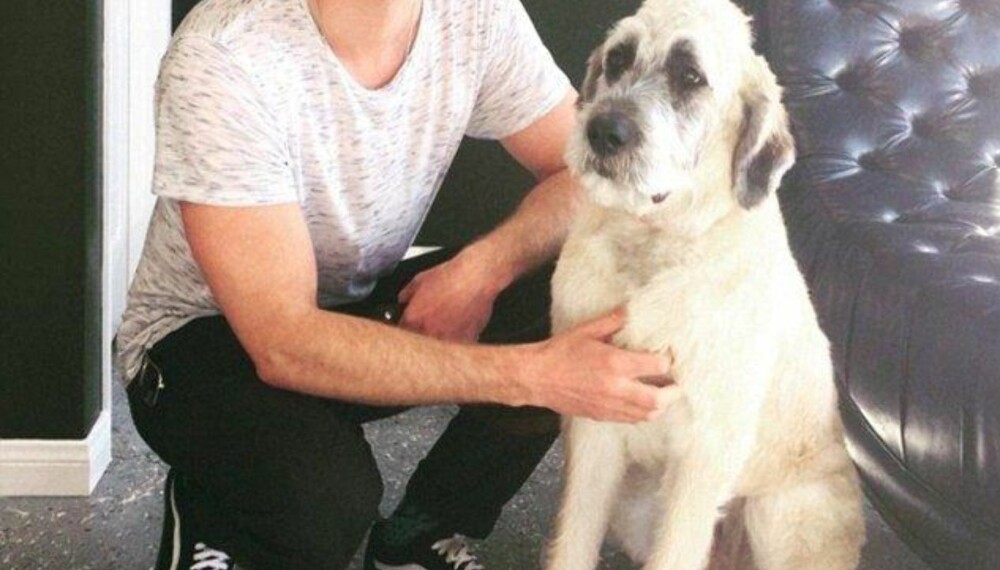 ADOPTERT: Miley Cyrus hjalp Liam med å adoptere denne hunden, senere kalt Dora The Explorer. Foto: Instagram