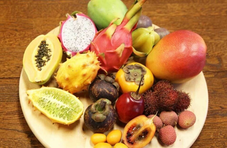 EKSOTISK FRUKT:  - Gjør et prosjekt ut av det og smak på eksotisk frukt sammen med barna, foreslår ernæringsfysiolog i frukt.no Camilla Andersen.