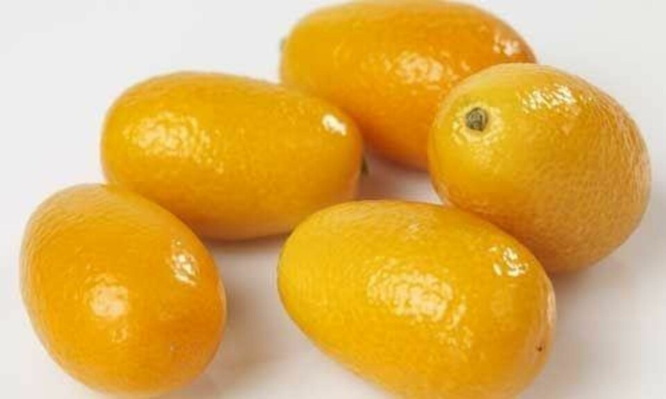 Kan du navnene på disse eksotiske fruktene?