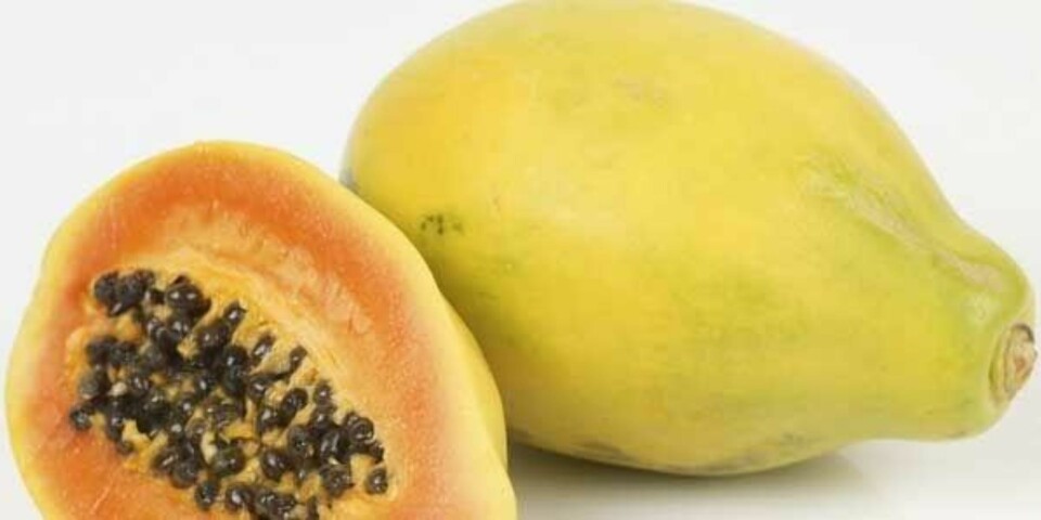 Kan du navnene på disse eksotiske fruktene?