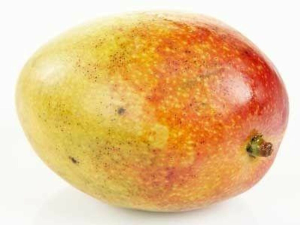 Kan du navnene på disse eksotiske fruktene?