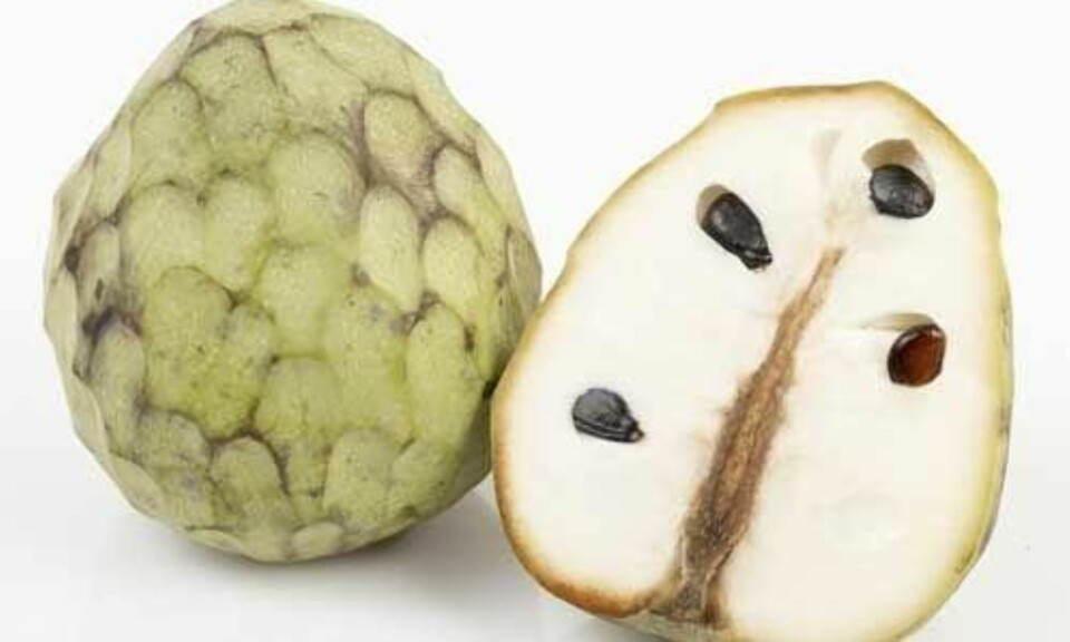 Kan du navnene på disse eksotiske fruktene?