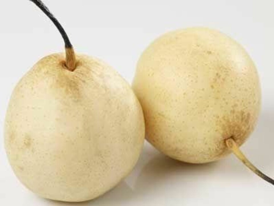 Kan du navnene på disse eksotiske fruktene?