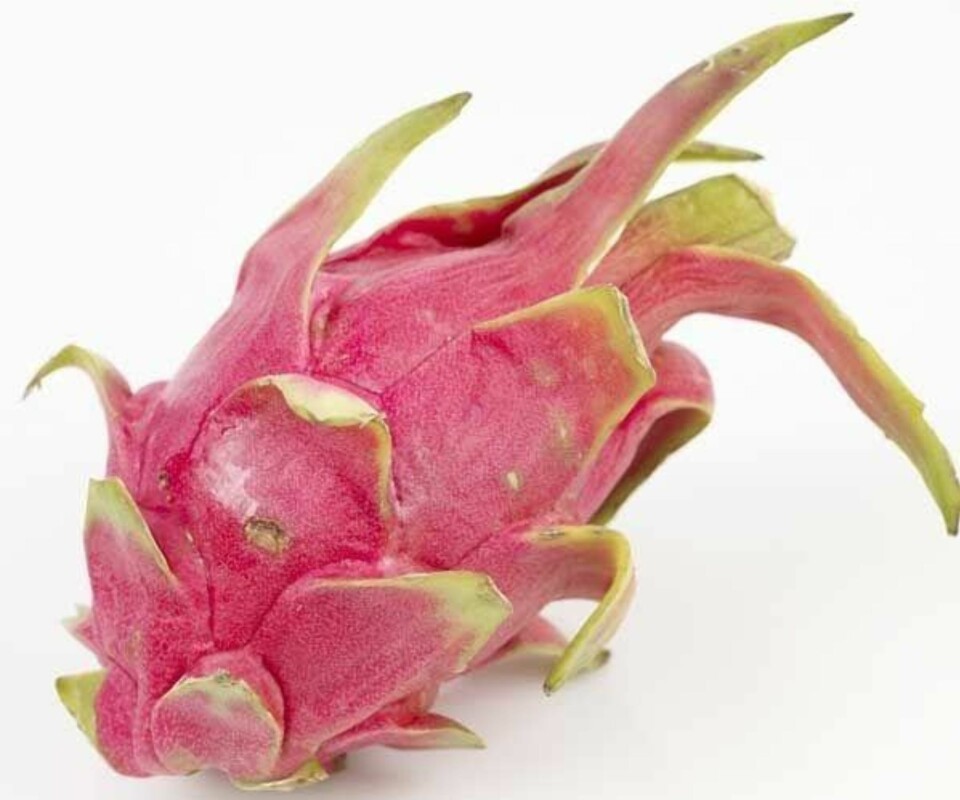 Kan du navnene på disse eksotiske fruktene?