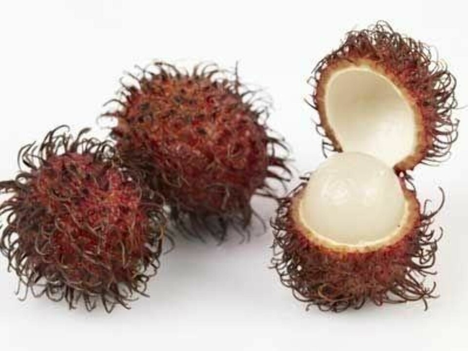 Kan du navnene på disse eksotiske fruktene?