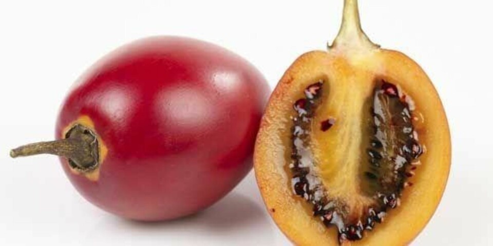 Kan du navnene på disse eksotiske fruktene?