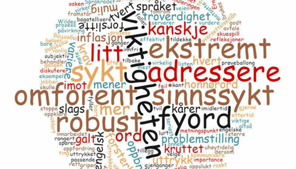 TEST: Språkrådet har kåret årets fyord - hvor mange gjør du deg skyldig i?