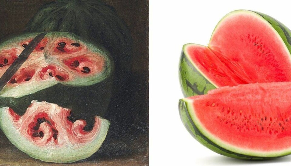 VANNMELONEN før og nå.