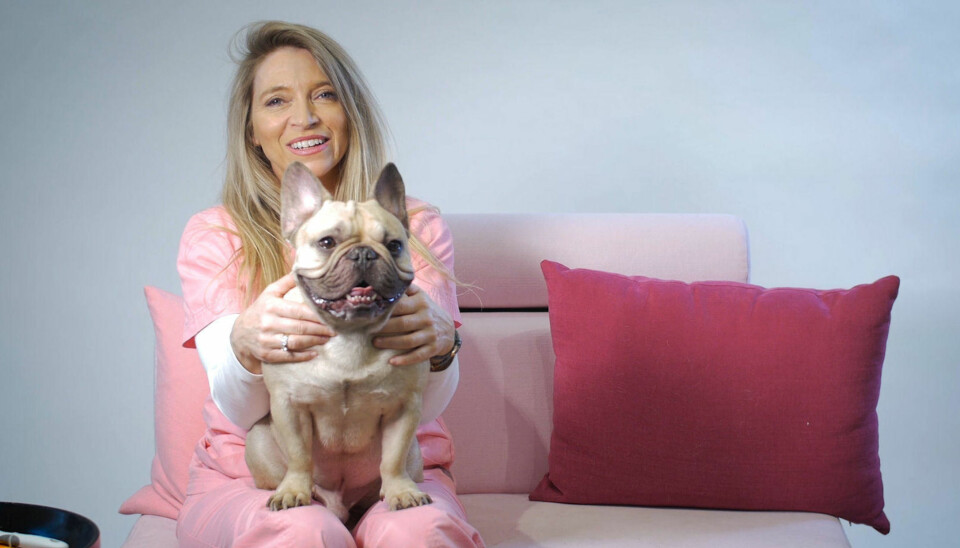 Hunden kan få hudproblemer og akne om du vasker den for ofte