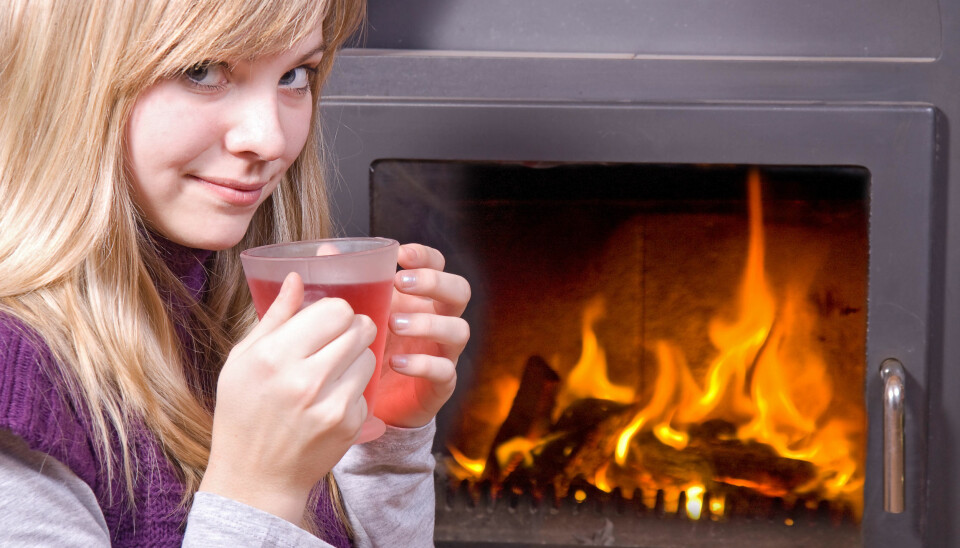 Koselig, Peiskos, Hygge og Hyggelig er ord britene ønsker inn i sitt språk.