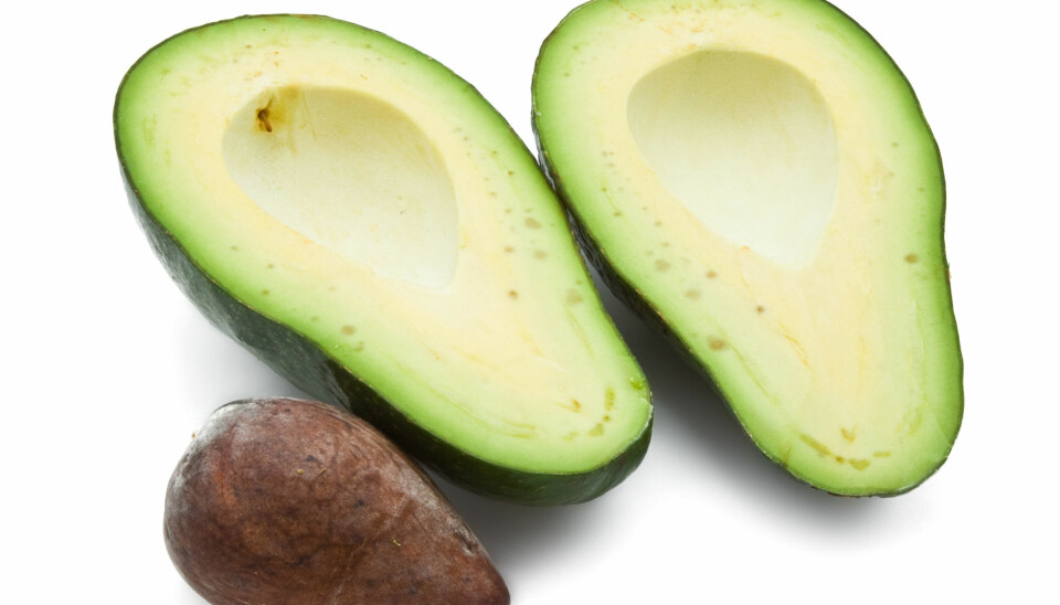 Vet du hvorfor du sier disse ordene?