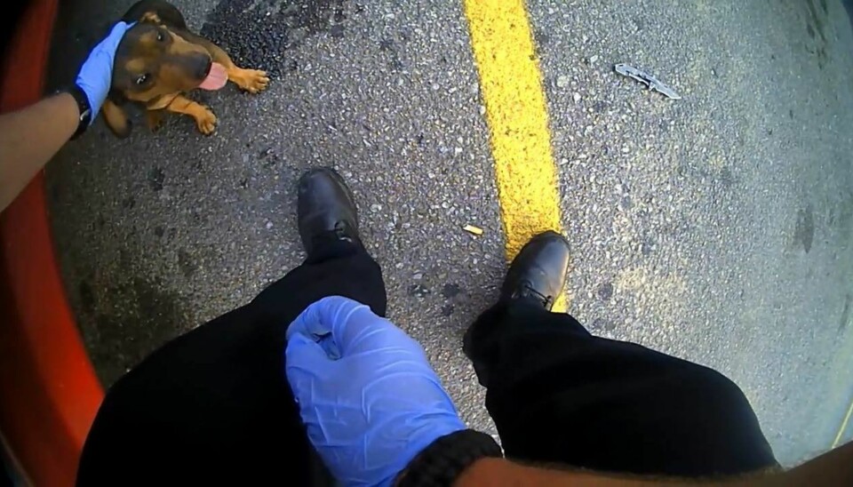 Foto: Arkansas City Policedepartment / Facebook