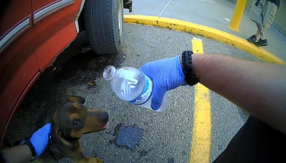 Foto: Arkansas City Policedepartment / Facebook