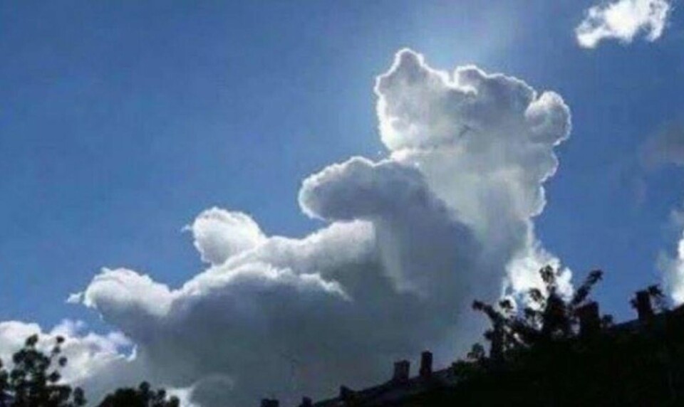 Meteorologenes dom over Ole Brumm-skyen: - Fake