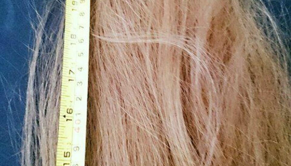 WENDI donerer bort hår til en veldedig organisasjon.