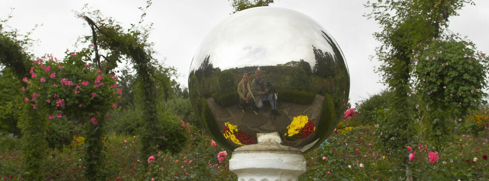 Et kulespeil. De vanligste kulespeilene var imidlertid halvkuleformet - som plommen i speilegget.