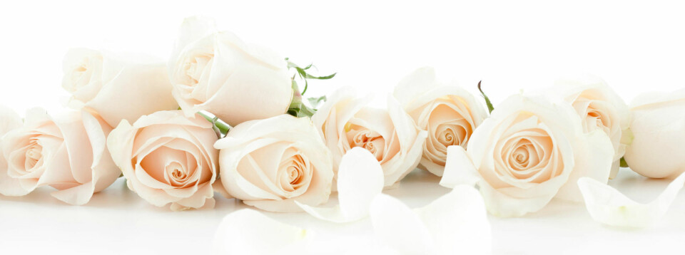 Lær deg blomstenes språk til valentinsdagen og morsdag