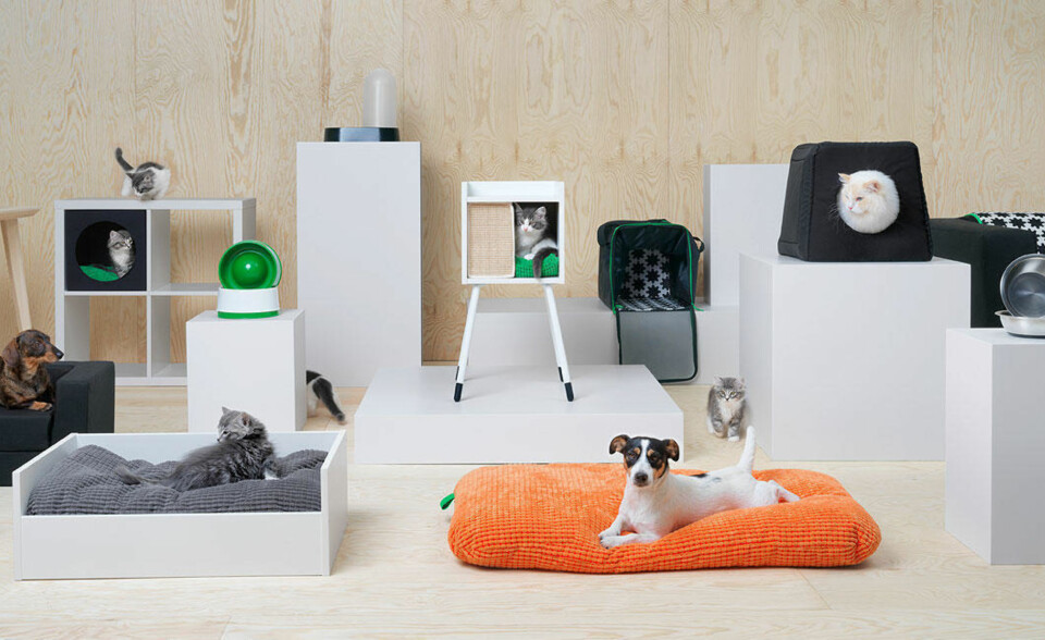 Nå kommer IKEA-møbler for hunder og katter