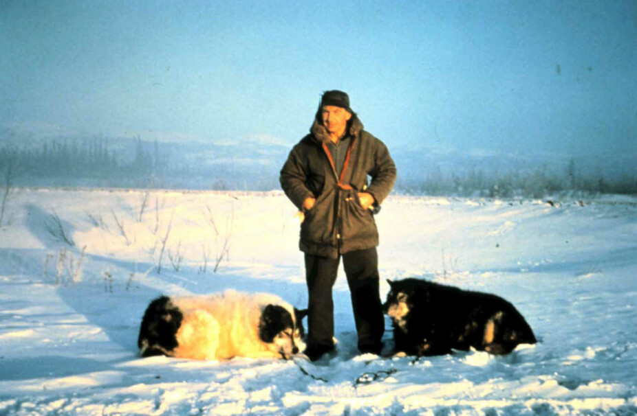 HARDHAUS: Hjalmar Dale med to av sine hunder vinteren 1960–61.