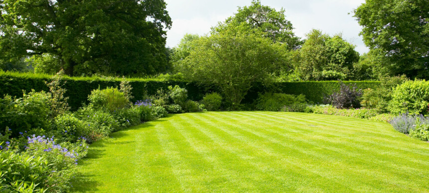 Gjødsling for mosefri plen