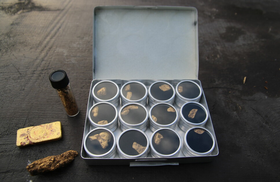 <b>NUGGET:</b> Gullklumper over ett gram kalles for «nuggets». Gullbaren til venstre veier 100 gram, og er av smeltet sammen av mindre gullkorn.