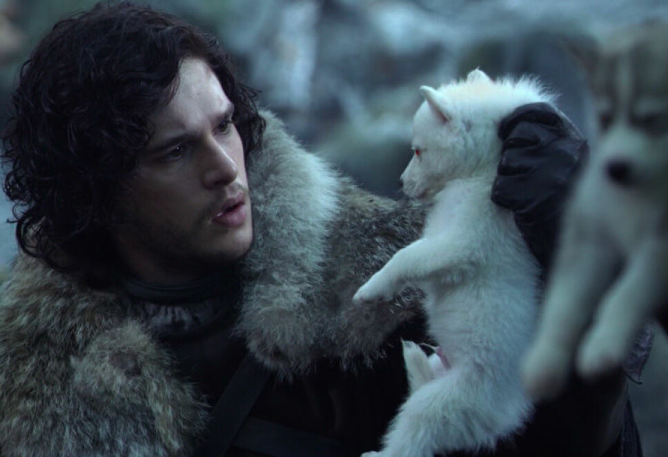 ULVEVENN: Jon Snows ulv Ghost gjør, ifølge spesialeffekt-sjef Joe Bauer, comeback i den siste sesongen av Game of Thrones.