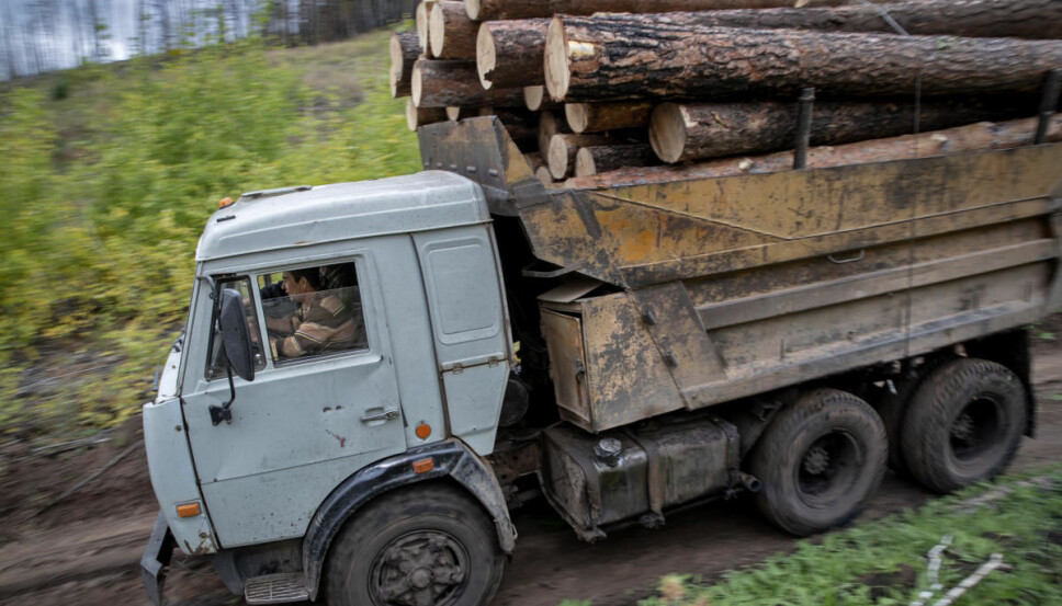 <b>ALLE DRO:</b> På grunn av vær og vind, samt en ødelagt hjullaster, dro hele tømmerhuggerlaget tilbake til sivilisasjonen i tømmerbilen.