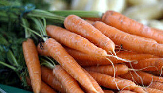 VITAMIN A: Gulrøtter er fulle av vitamin A, er fulle av smak og betakaroten. VITAMIN A: Gulrøtter er fulle av vitamin A, er fulle av smak og betakaroten.