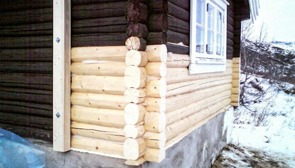 GANSKE NY: Dette er et eksempel på en nyere hytte der det hadde oppstått omfattende råteskader. Her ble hele stokker byttet der det var mest skade, i kombinasjon med mindre reparasjoner.