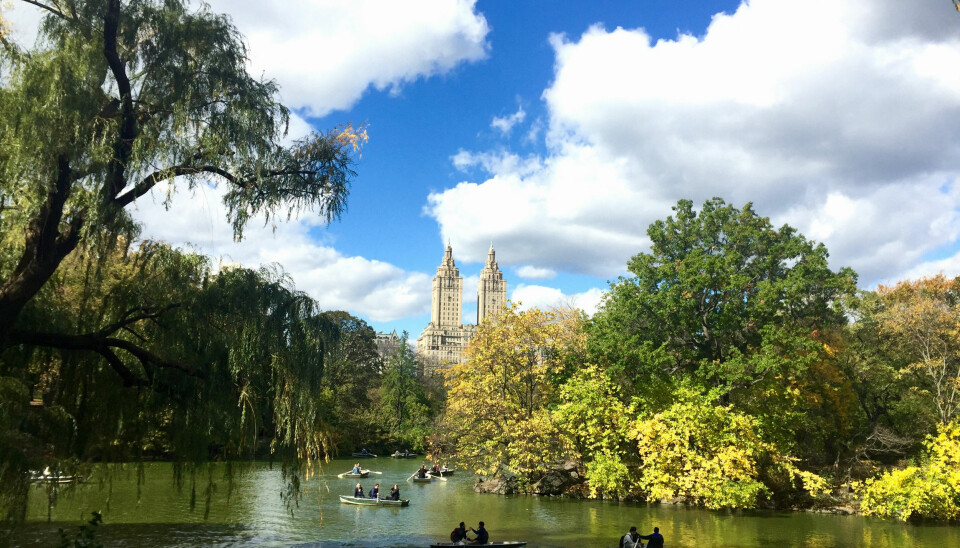 Drøm deg bort til New Yorks skjulte perler