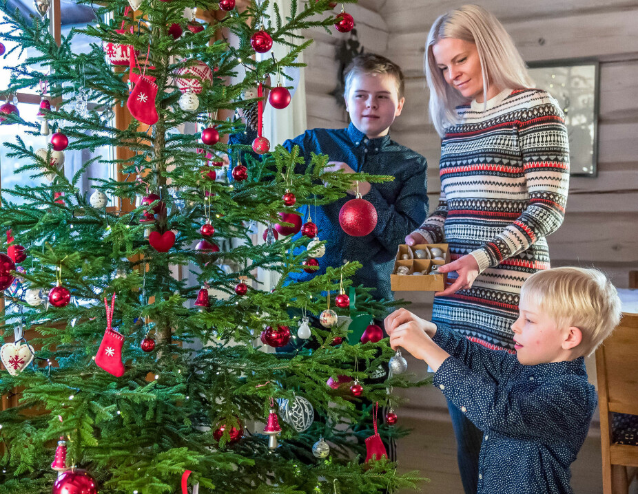 TØMMERHYTTE PÅ GAUTEFALL: Juletreet henter familien selv i naturen rundt hytta. Det er en av de mange hyggelige tradisjonene de har skapt i forbindelse med julefeiringen på Gautefall.