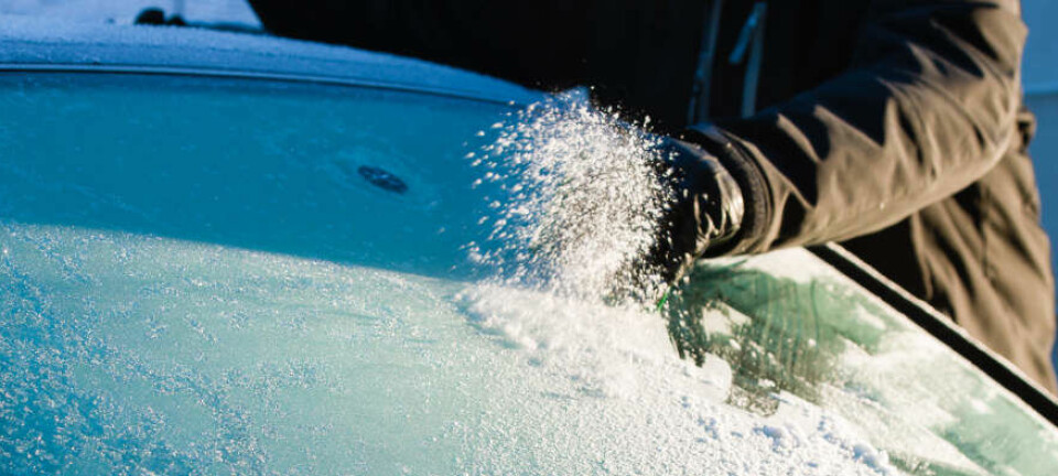 Slurver du her, kan førerkortet ryke