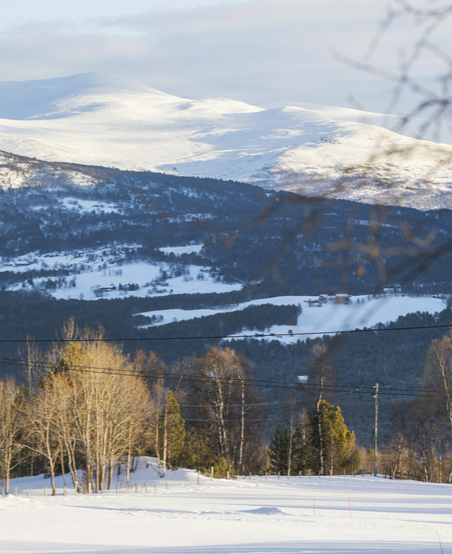 VARIERT LANDSKAP: Området rundt hytta består av både flat mark og en spennende fjellheim som Heidi stadig utforsker på ski. VARIERT LANDSKAP: Området rundt hytta består av både flat mark og en spennende fjellheim som Heidi stadig utforsker på ski.