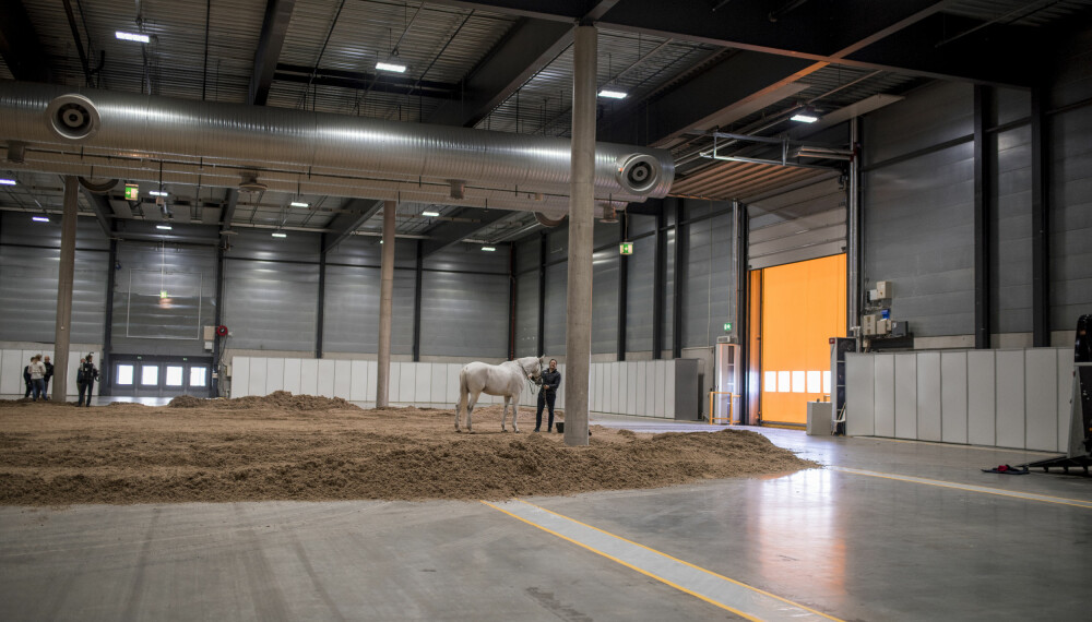 Under Norwegian Horse Show kommer det til å være 550 hester i Norges Varehus i Lillestrøm.