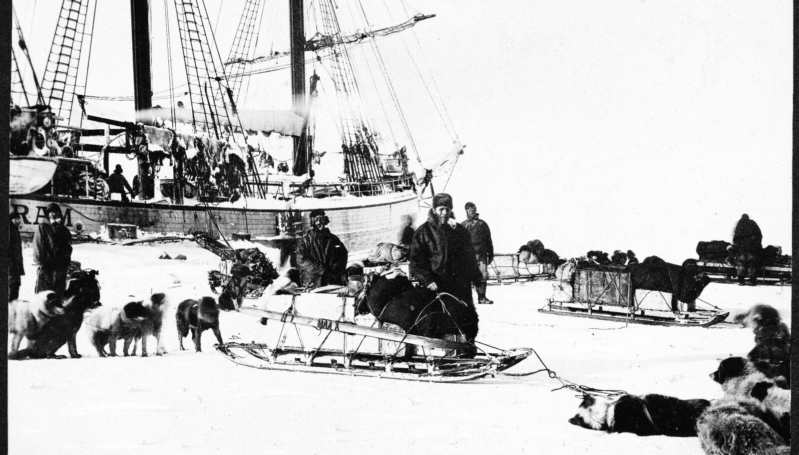 <b>UTVIKLET:</b> På Fram utviklet Sverdrup en metode med lettere karavaner av hunder og sleder. De var raske og enkle å håndtere. Amundsen videreutviklet dem til sin ferd mot Sydpolen ti år senere.