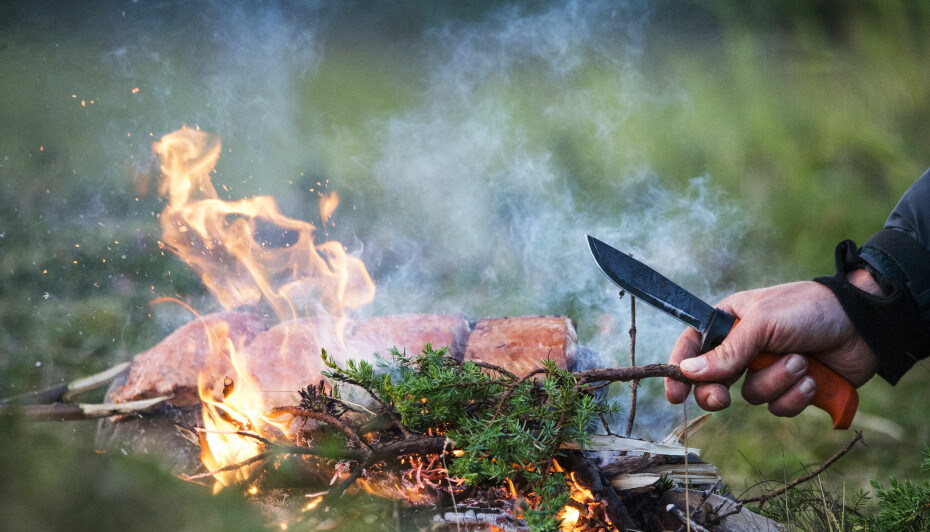 EINER: Har du først fått fyr, kan du fyre med rå einer.