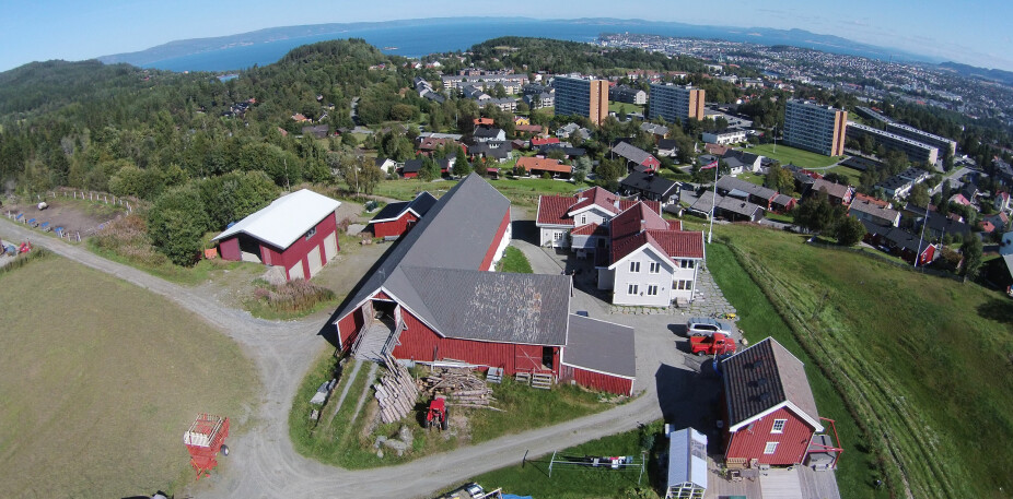 <b>GÅRDEN: </b>Torshaug gård ligger helt i utkanten av Trondheim, på grensen til Bymarka. Låven er den samme som i 1947.