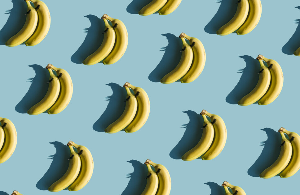 DIGG: Bananer er skikkelig deilig snacks, men hvordan får du dem til å holde lengst mulig? Internett gir deg svaret.
