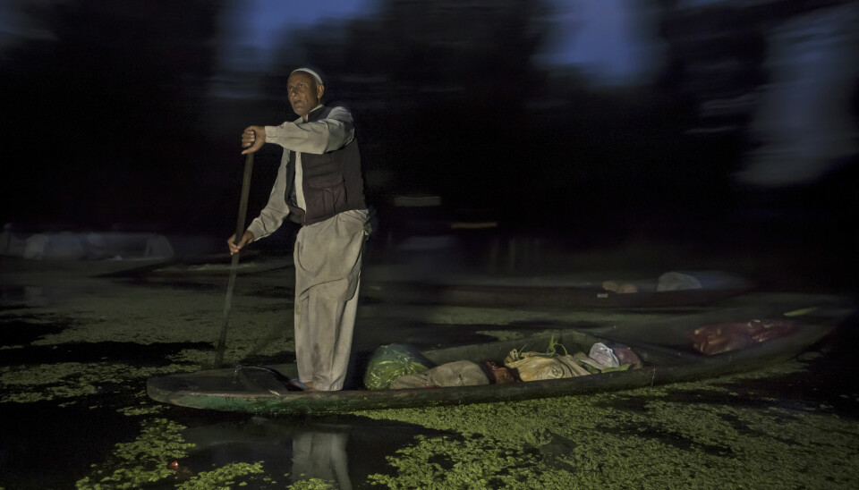 I VERDENSKLASSE: Srinagars flytende marked starter lenge før dagslyset dukker opp. Her en av selgerne med hjemmedyrkede grønnsaker han skal selge.