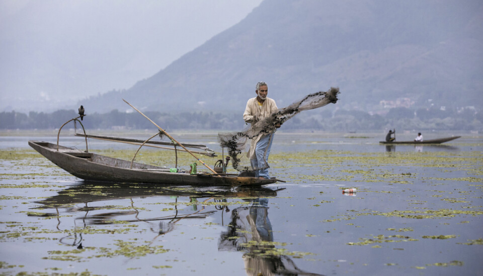 EVENTYRLIG STEMNING: Både Dal innsjøen og Nigeen innsjøen er full av fiskere. Omringet av høye fjell og tåke, hviler det en eventyrlig og eksotisk atmosfære over Srinagars innsjøer.